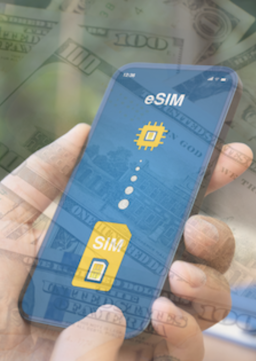 eSim Risk Management